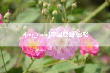 乐陵中国地图9宫格