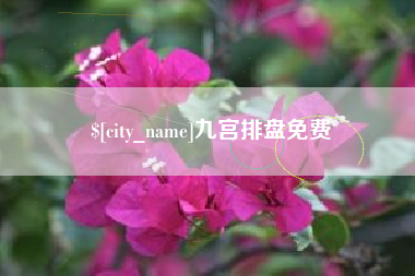 乐陵九宫排盘免费