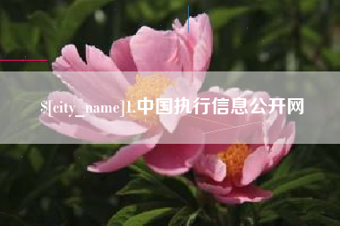 乐陵1.中国执行信息公开网