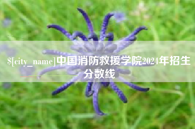 乐陵中国消防救援学院2024年招生分数线