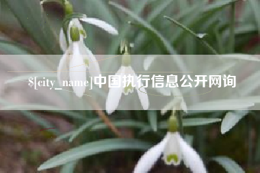 乐陵中国执行信息公开网询