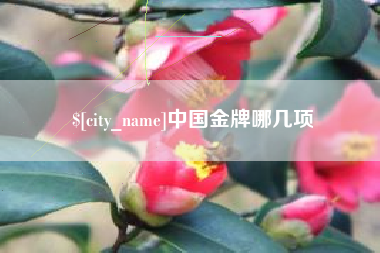 乐陵中国金牌哪几项