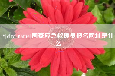 乐陵国家应急救援员报名网址是什么