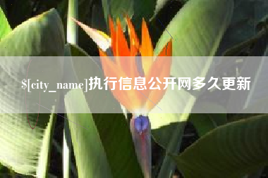 乐陵执行信息公开网多久更新