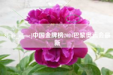 乐陵中国金牌榜2024巴黎奥运会最新