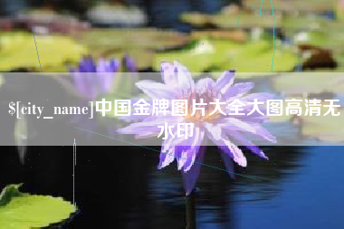 乐陵中国金牌图片大全大图高清无水印