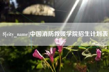 乐陵中国消防救援学院招生计划表