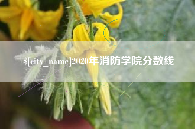 乐陵2020年消防学院分数线