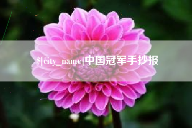 乐陵中国冠军手抄报