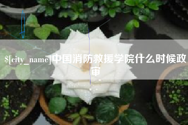 乐陵中国消防救援学院什么时候政审