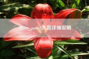 乐陵九宫详细说明