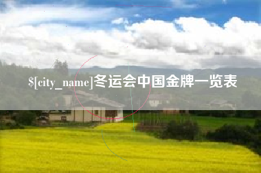 乐陵冬运会中国金牌一览表