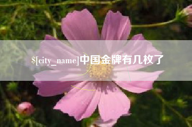 乐陵中国金牌有几枚了