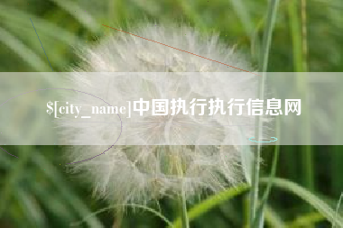 乐陵中国执行执行信息网
