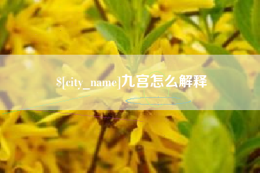 乐陵九宫怎么解释
