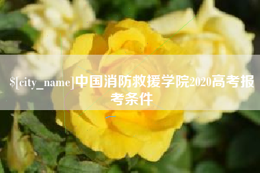 乐陵中国消防救援学院2020高考报考条件