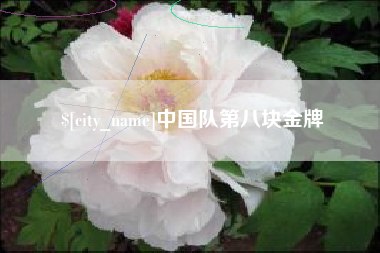 乐陵中国队第八块金牌