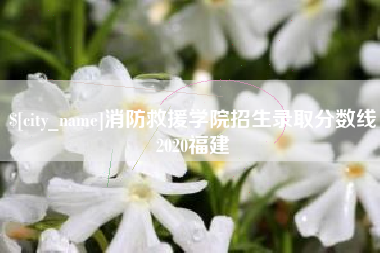 乐陵消防救援学院招生录取分数线2020福建