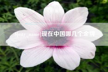 乐陵现在中国哪几个金牌