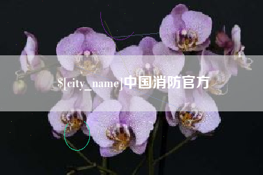 乐陵中国消防官方
