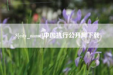 乐陵中国执行公开网下载