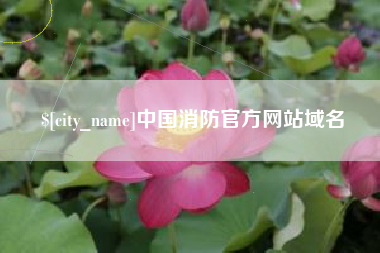 乐陵中国消防官方网站域名