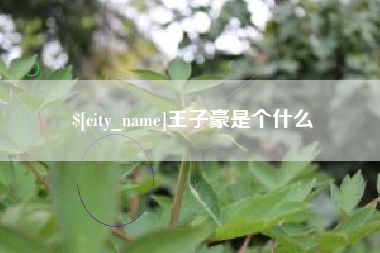 乐陵王子豪是个什么