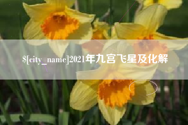 乐陵2021年九宫飞星及化解