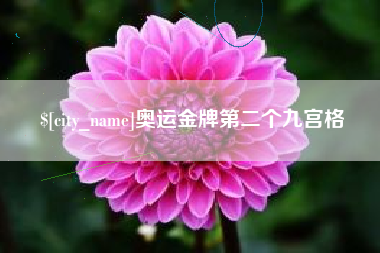 乐陵奥运金牌第二个九宫格