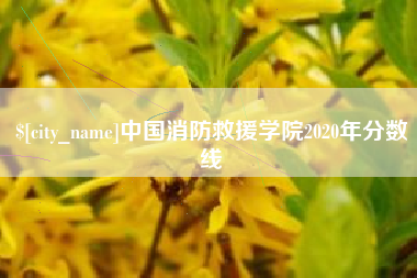 乐陵中国消防救援学院2020年分数线