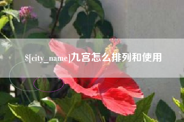 乐陵九宫怎么排列和使用