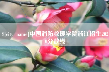 乐陵中国消防救援学院浙江招生2020分数线