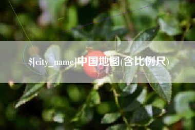 乐陵中国地图(含比例尺)