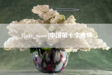 乐陵中国第十个金牌