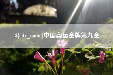 乐陵中国奥运金牌第九金