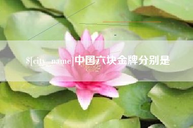 乐陵中国六块金牌分别是