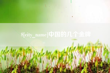 乐陵中国的几个金牌