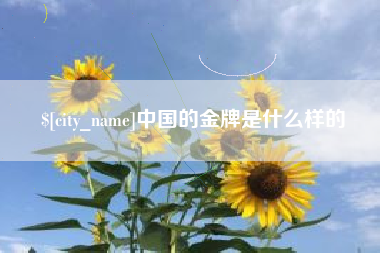 乐陵中国的金牌是什么样的