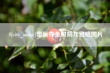 乐陵奥运夺金时刻九宫格图片