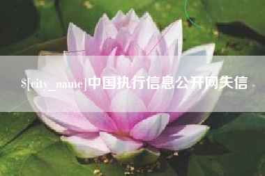 乐陵中国执行信息公开网失信