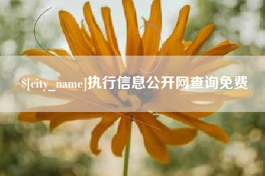 乐陵执行信息公开网查询免费