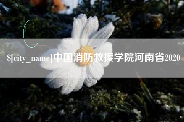 乐陵中国消防救援学院河南省2020